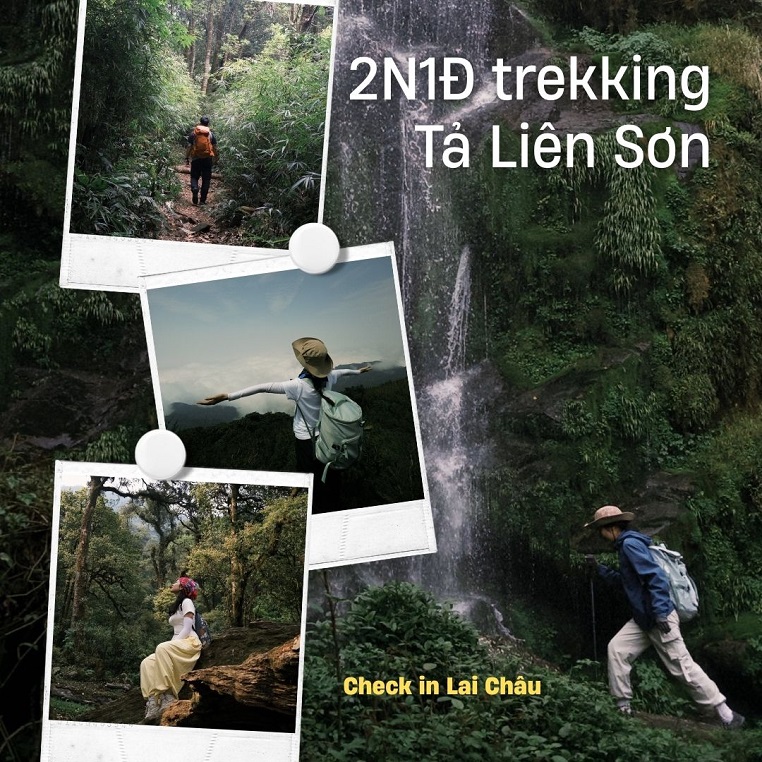 2N1Đ trekking Tả Liên Sơn - Top 6/15 đỉnh núi cao nhất Việt Nam có sắc vàng lá phong, sắc hồng đỏ hoa đỗ quyên