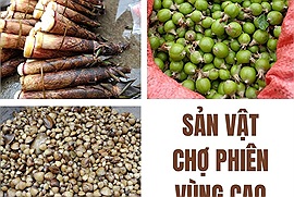 Chiêm ngưỡng những sản vật lạ ở chợ phiên vùng cao Lai Châu: Na rừng, củ mài, trứng kiến...