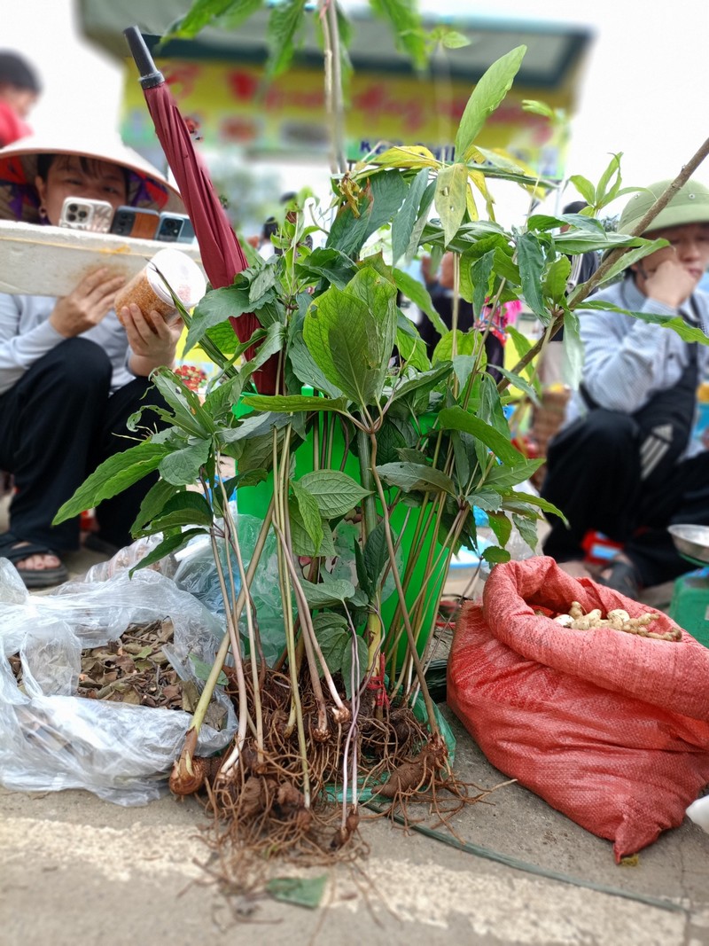 sản vật lạ ở chợ phiên vùng cao Lai Châu