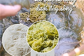 Cận cảnh "lò bún tự động dưới đáy sông" sản sinh từ con bún mẹ - sinh vật chưa được nhiều người biết đến
