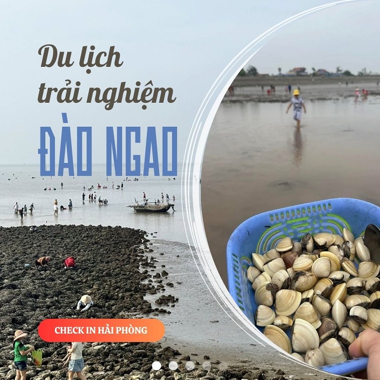 Du lịch biển kết hợp trải nghiệm đào ngao được gọi là hot trend mới vì "khối nghỉ hè" vô cùng yêu thích