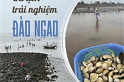 Du lịch biển kết hợp trải nghiệm đào ngao được gọi là hot trend mới vì "khối nghỉ hè" vô cùng yêu thích