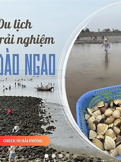 Du lịch biển kết hợp trải nghiệm đào ngao được gọi là hot trend mới vì "khối nghỉ hè" vô cùng yêu thích