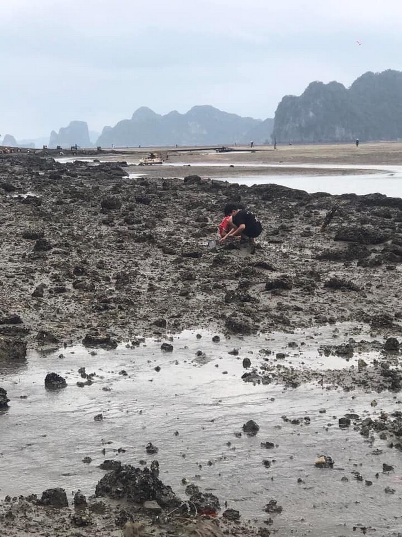 Du lịch biển kết hợp trải nghiệm đào ngao