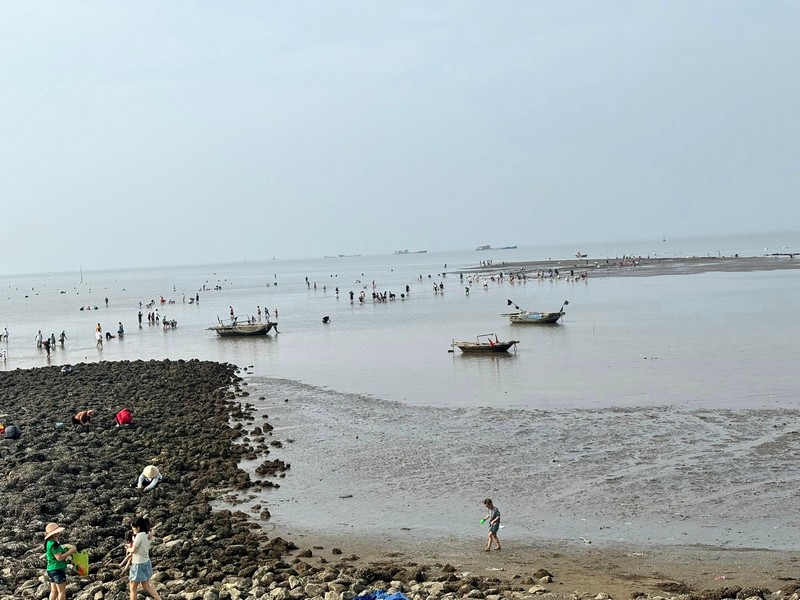 Du lịch biển kết hợp trải nghiệm đào ngao