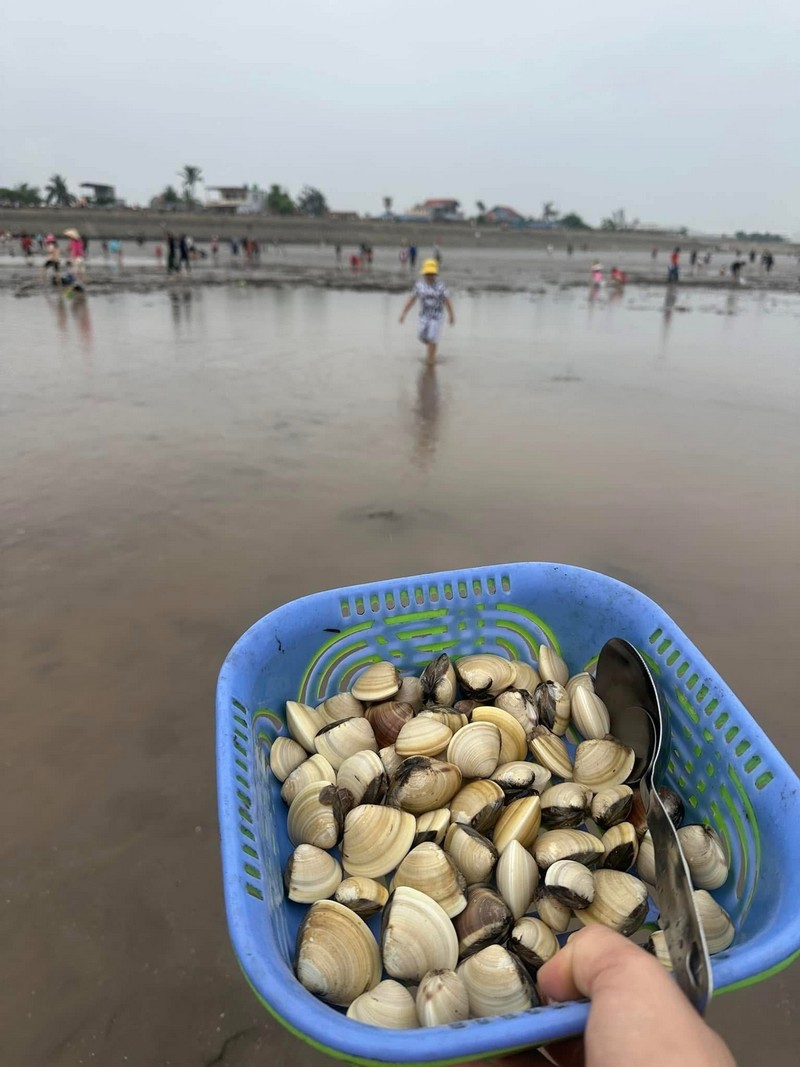 Du lịch biển kết hợp trải nghiệm đào ngao