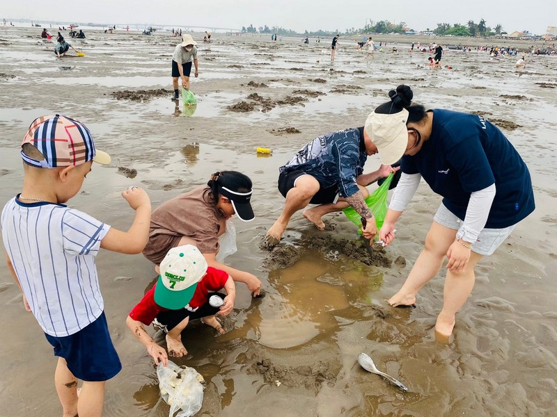 Du lịch biển kết hợp trải nghiệm đào ngao