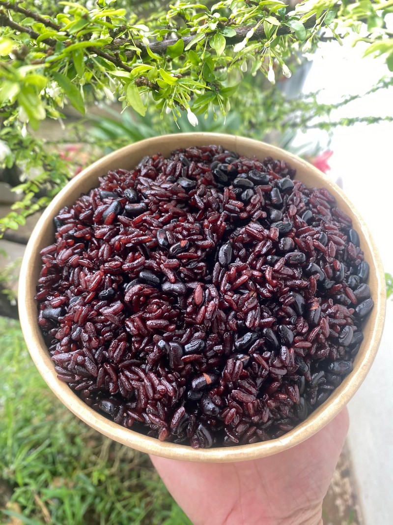 Cách nấu xôi đỗ đen