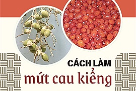 Cách làm món mứt cau kiểng: Biến những quả cau xanh thành món mứt đỏ rực rỡ