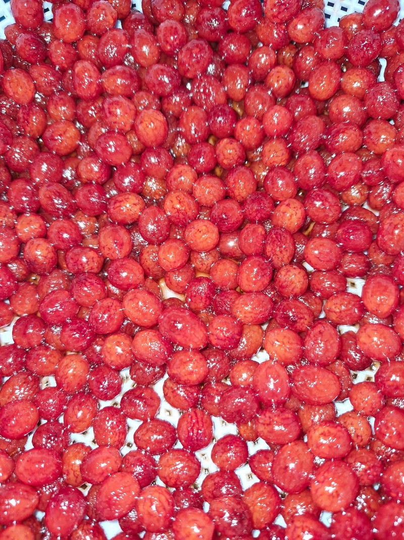 Cách làm món mứt cau kiểng