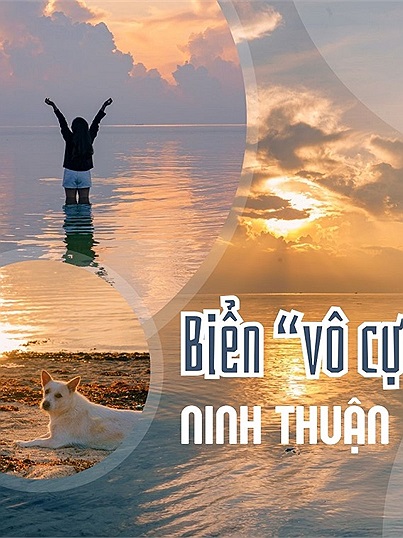 Thêm một lựa chọn biển "vô cực" ở Ninh Thuận, độ đẹp không thua kém biển "vô cực" ở Thái Bình