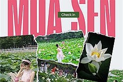 Cộng đồng Check in Vietnam sôi nổi check in mùa sen tháng 6, rủ nhau đi săn những đầm sen đẹp nhất