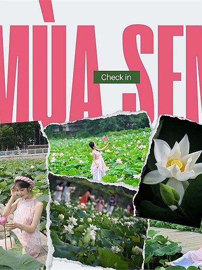 Cộng đồng Check in Vietnam sôi nổi check in mùa sen tháng 6, rủ nhau đi săn những đầm sen đẹp nhất
