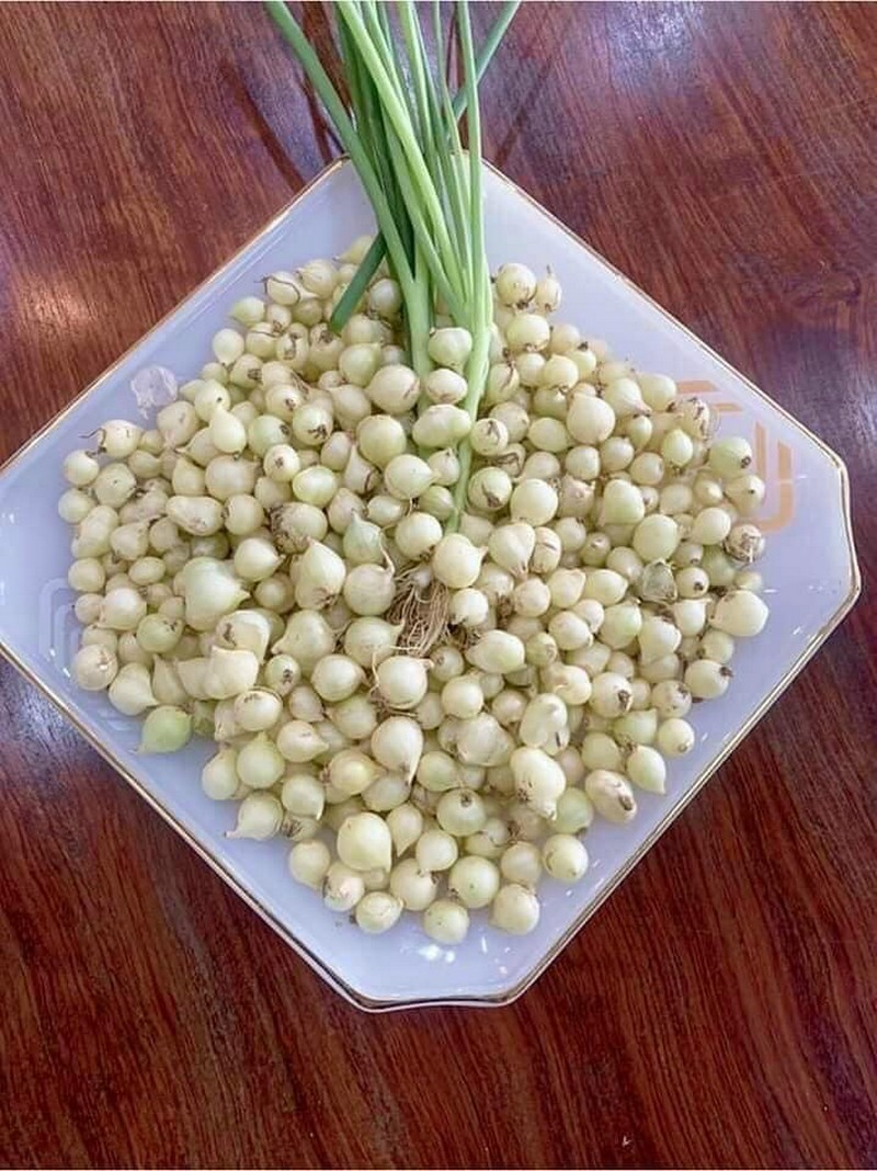 món chè ném miền Trung