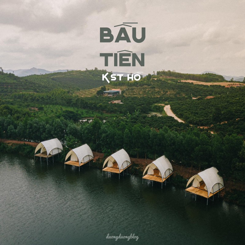 Check in Vietnam hòa nhịp cùng mùa vải chín
