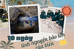 6 trải nghiệm thú vị trong 10 ngày làm tình nguyện viên bảo tồn rùa biển