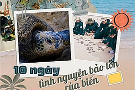6 trải nghiệm thú vị trong 10 ngày làm tình nguyện viên bảo tồn rùa biển