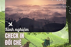 7 kinh nghiệm check in đồi chè Long Cốc: Để có chuyến đi suôn sẻ và chụp được những bức ảnh “để đời”