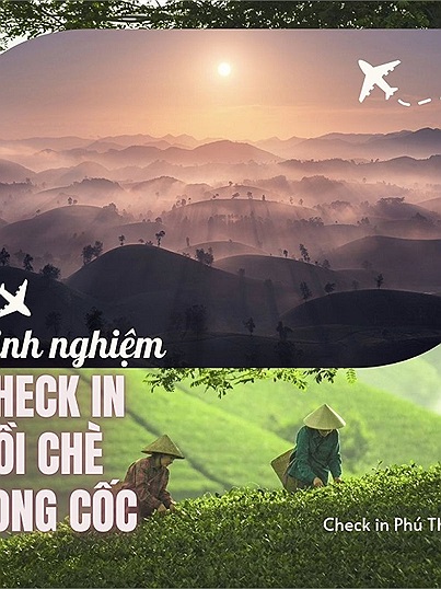 7 kinh nghiệm check in đồi chè Long Cốc: Để có chuyến đi suôn sẻ và chụp được những bức ảnh “để đời”