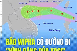 Bão Wipha sắp gây mưa to ở phía Bắc và có đường đi "hình dáng của Yagi"