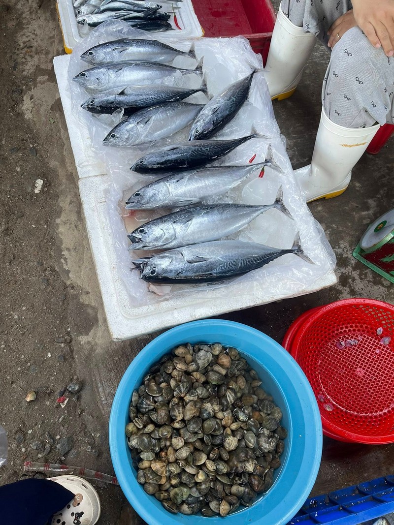 các món đặc sản Quảng Ngãi