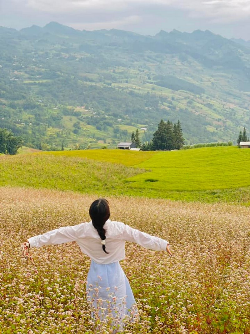 3N2Đ khám phá ruộng bậc thang Hoàng Su Phì