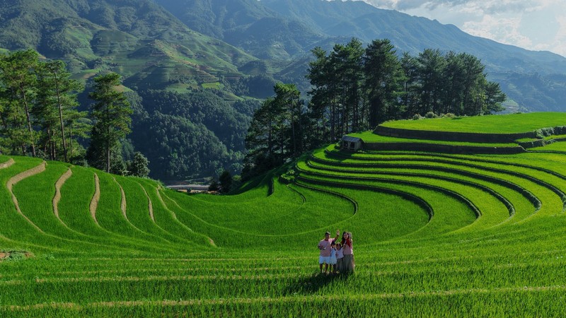 Phượt thủ đua nhau đi săn lúa xanh