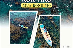 Hòn Khô mùa rong mơ tuyệt đẹp qua các bức ảnh: Cuối mùa hè liệu có còn rong mơ?