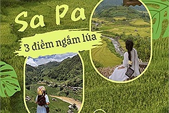 Thành viên Check in Vietnam khám phá 3 điểm ngắm lúa tuyệt đẹp gần Sa Pa