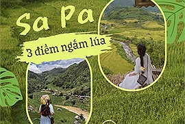 Thành viên Check in Vietnam khám phá 3 điểm ngắm lúa tuyệt đẹp gần Sa Pa