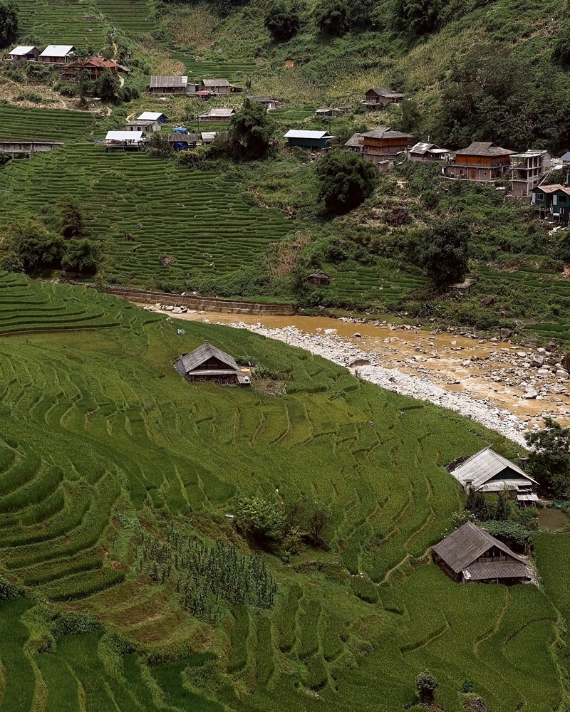 3 điểm ngắm lúa tuyệt đẹp gần Sa Pa