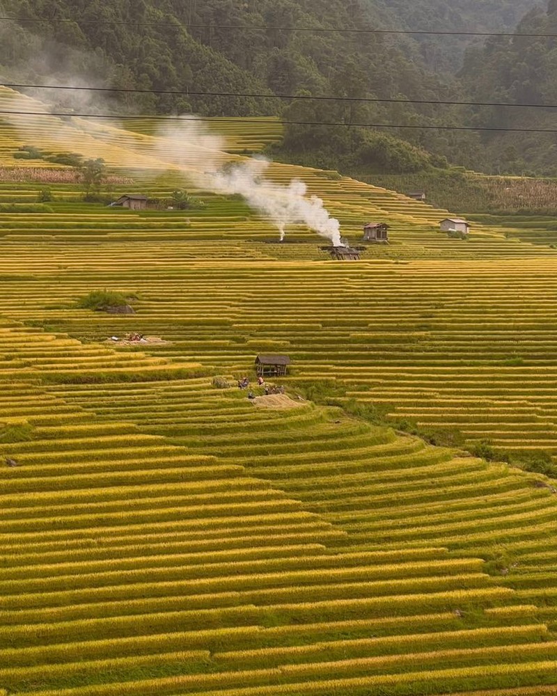 3 điểm ngắm lúa tuyệt đẹp gần Sa Pa