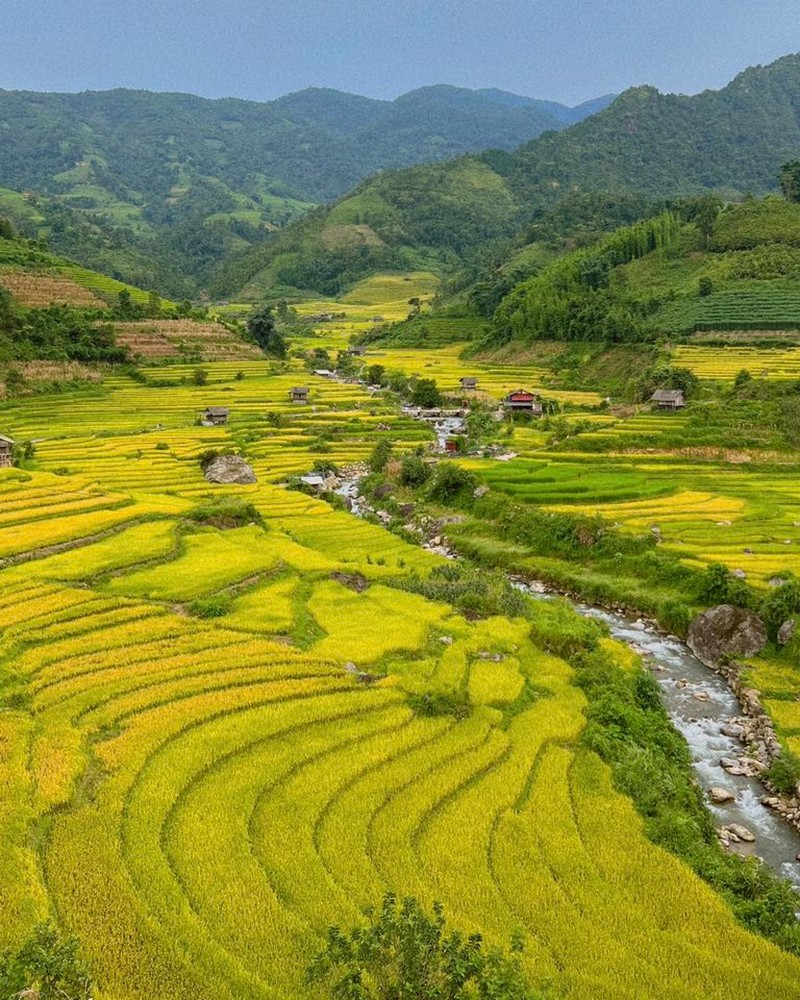 3 điểm ngắm lúa tuyệt đẹp gần Sa Pa