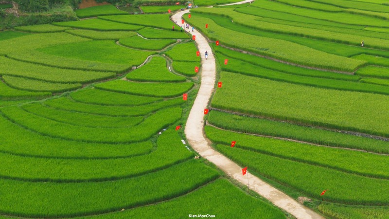 Cộng đồng Check in Vietnam hoà cùng màu cờ Tổ quốc