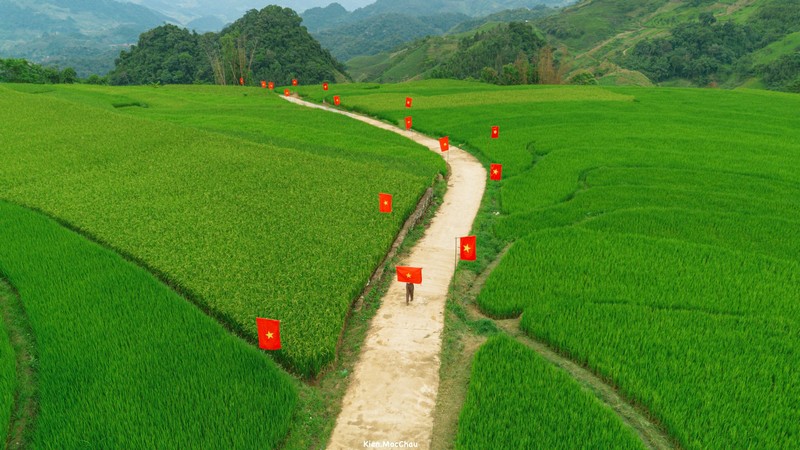 Cộng đồng Check in Vietnam hoà cùng màu cờ Tổ quốc