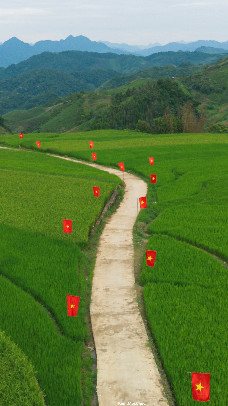 Cộng đồng Check in Vietnam hoà cùng màu cờ Tổ quốc