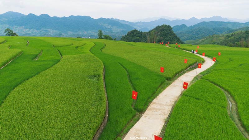 Cộng đồng Check in Vietnam hoà cùng màu cờ Tổ quốc