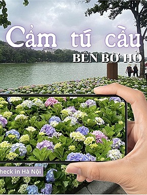 Rủ nhau check in cẩm tú cầu giữa mùa thu Hà Nội: "Đà Lạt thu nhỏ" giữa trung tâm thủ đô