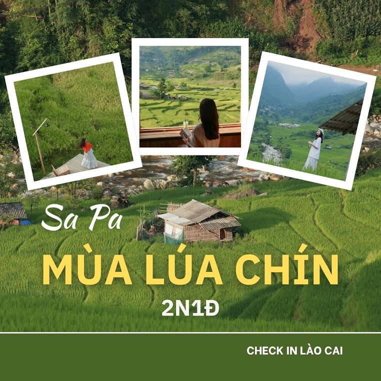 Lịch trình 2N1Đ khám phá Sa Pa mùa lúa chín: "Ngày nắng tối se se lạnh"