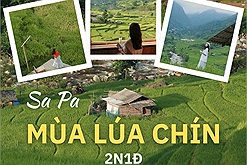 Lịch trình 2N1Đ khám phá Sa Pa mùa lúa chín: "Ngày nắng tối se se lạnh"