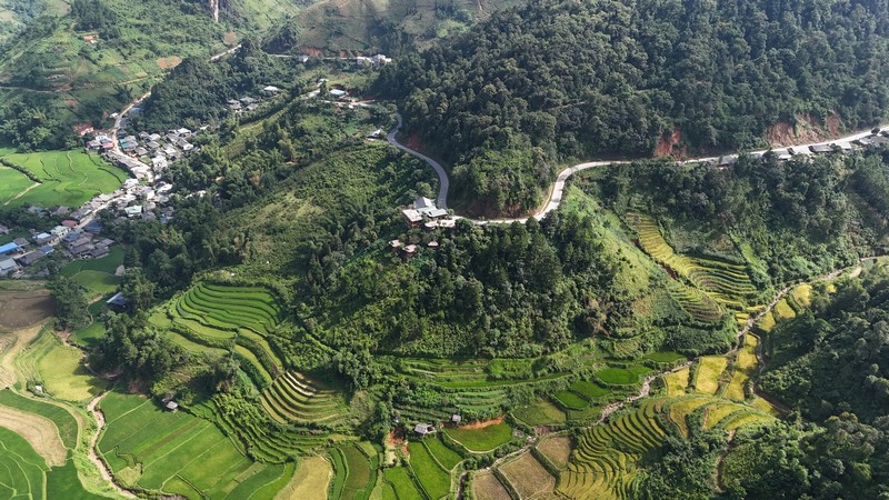 mùa lúa chín vùng cao Bắc Bộ