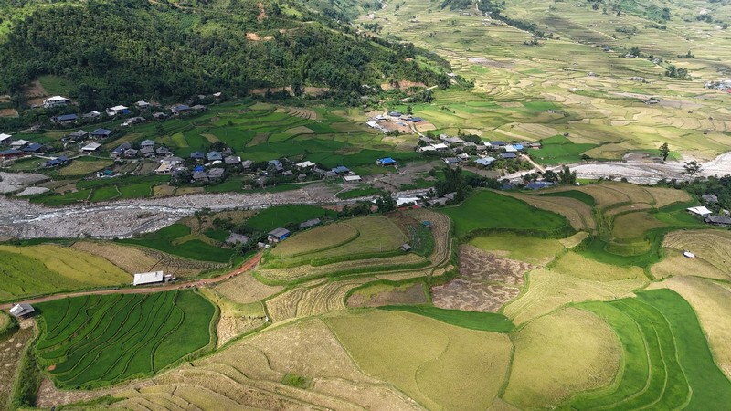 mùa lúa chín vùng cao Bắc Bộ