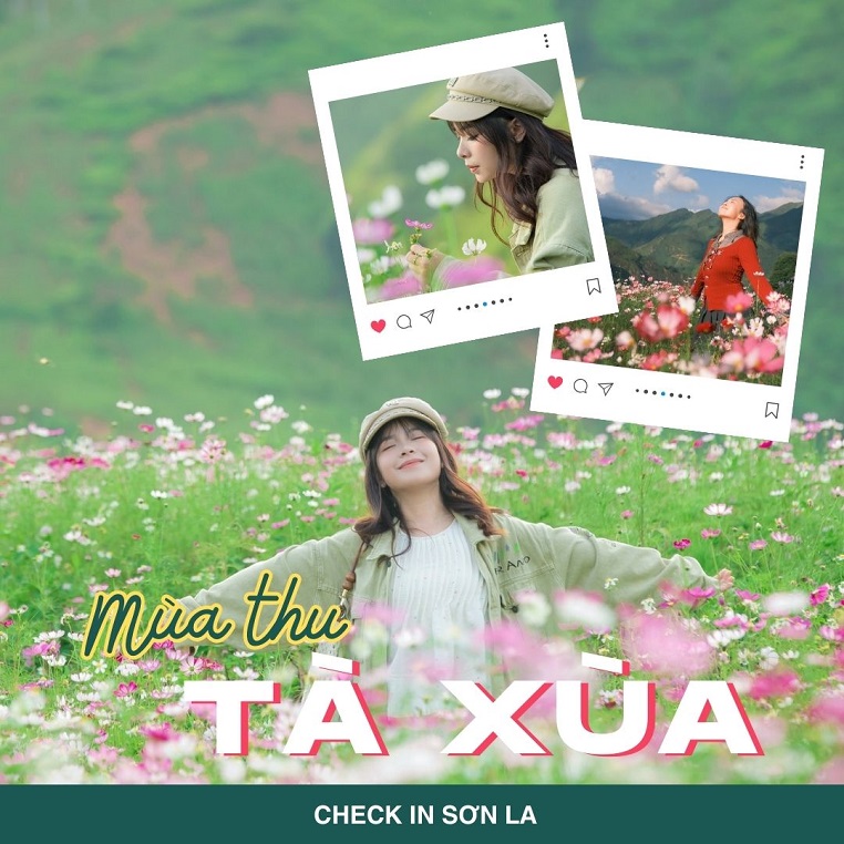 Tà Xùa vào thu rực rỡ hoa cánh bướm nở rộ, cộng đồng Check in Vietnam đua nhau bấm máy