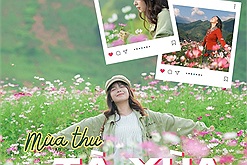 Tà Xùa vào thu rực rỡ hoa cánh bướm nở rộ, cộng đồng Check in Vietnam đua nhau bấm máy