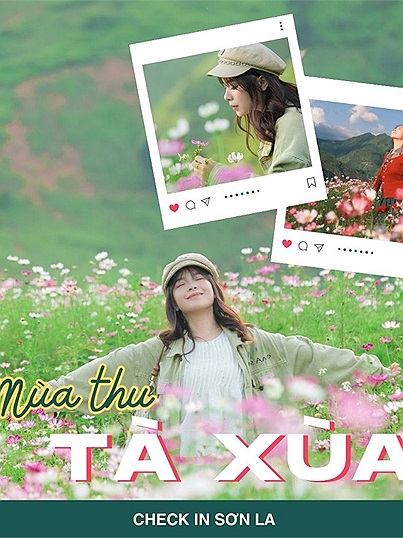 Tà Xùa vào thu rực rỡ hoa cánh bướm nở rộ, cộng đồng Check in Vietnam đua nhau bấm máy