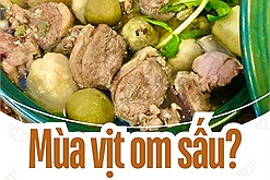 Có phải vịt om sấu là món ngon của mùa thu Hà Nội?