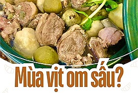 Có phải vịt om sấu là món ngon của mùa thu Hà Nội?