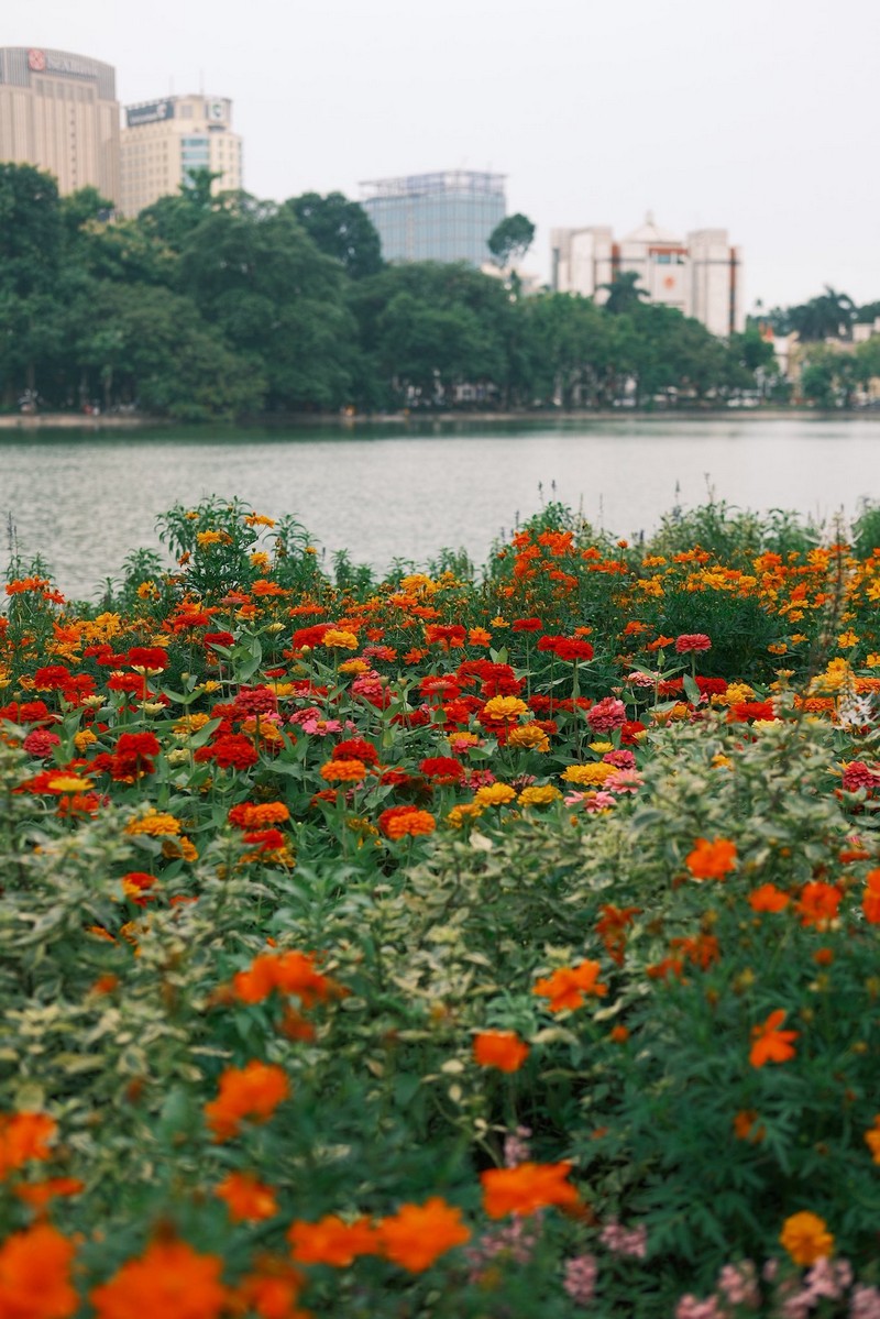 những lời có cánh về mùa thu Hà Nội