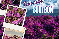 Đồi sim ở bản Suối Bon - Điểm đến mới nổi của du lịch Sơn La