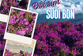 Đồi sim ở bản Suối Bon - Điểm đến mới nổi của du lịch Sơn La
